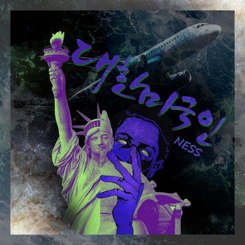 대한미국인 - ness