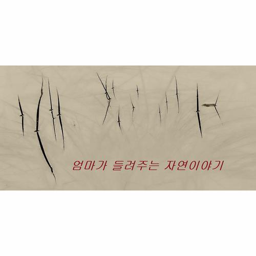 엄마가 들려주는 자연이야기 - 마마