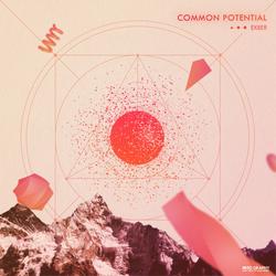 Common Potential - ex8er
