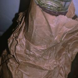 BPB - Brown Paper Bag - POOKY