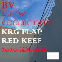 Bon Voyage - Krueger flap