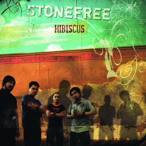 Hibiscus - Stonefree