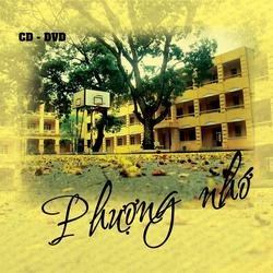 Phượng Nhớ - Various Artists