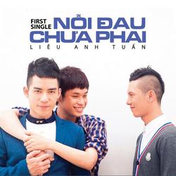 Nỗi Đau Chưa Phai - Liêu Anh Tuấn