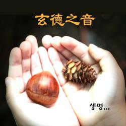 Life (2011) - Hyun Duk Ji Eum