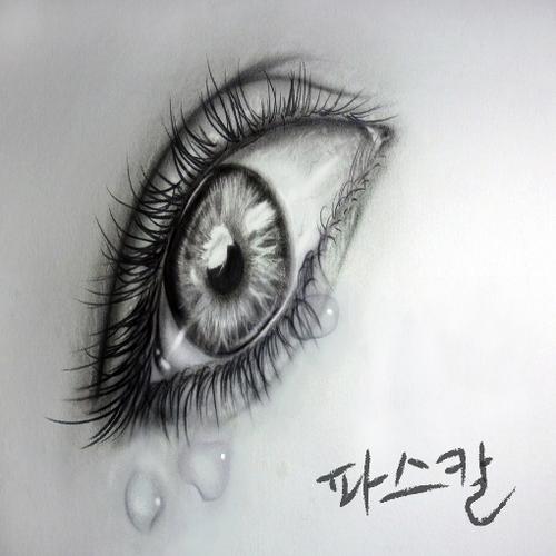 Nunmuri Apeul Garyeo (눈물이 앞을 가려) - Pascol