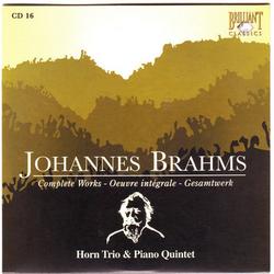 Johannes Brahms Edition: Complete Works (CD16) - Various Artists