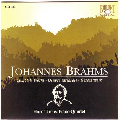Johannes Brahms Edition: Complete Works (CD16) - Various Artists