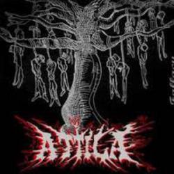 Fallacy - Atilla