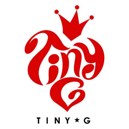 TINY-G - Tiny-G
