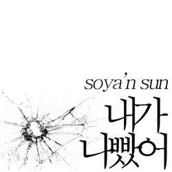 I Was Wrong - Soya N Sun