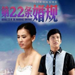 第22条婚规 / Điều 22 Luật Hôn Nhân - Various Artists