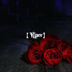 VIper (Regular Edition Type D) - Codomo Dragon