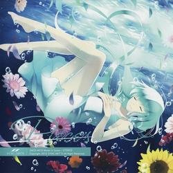 Pieces - SYNC.ART