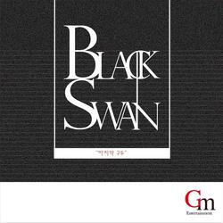 Finally Shoes - Black Swan