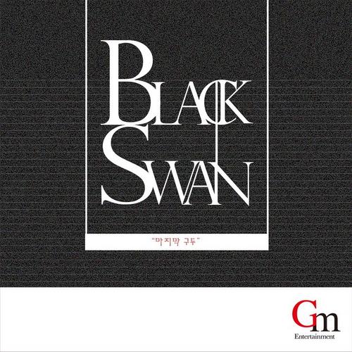 Finally Shoes - Black Swan