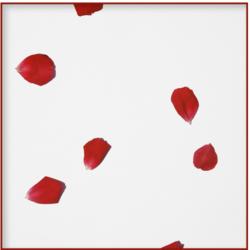 Last Dance With You - Remains