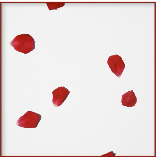 Last Dance With You - Remains