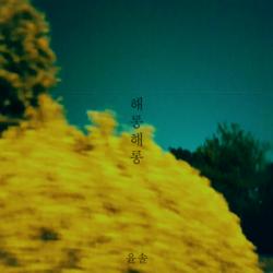 Haerong Haerong (해롱해롱) - Yun Soll