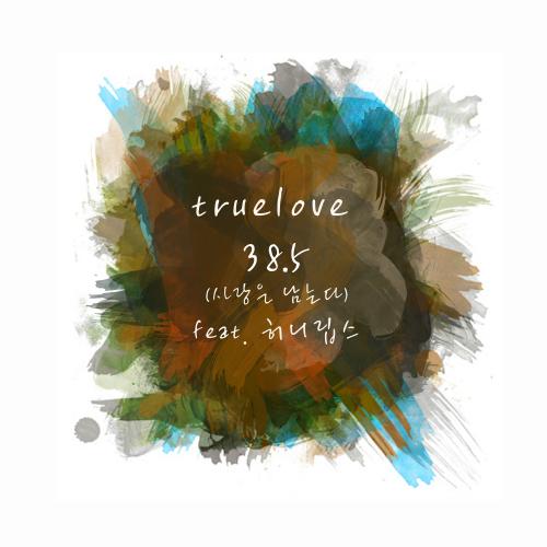 38.5 (Love Remains) - Truelove