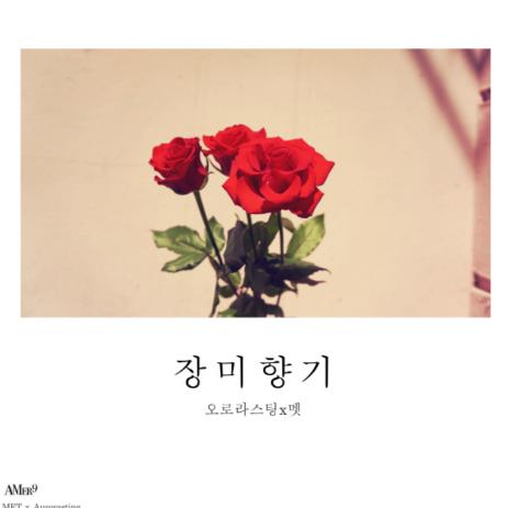 Rose Fragrance - Met