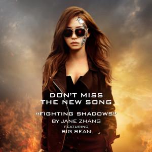 Fighting Shadows (Kẻ Hủy Diệt 5 OST) - Trương Lương Dĩnh - Big Sean