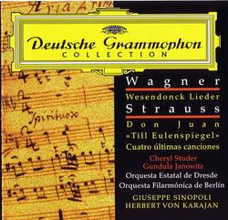 Orchestral Music - Various Artists