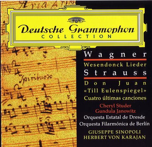 Orchestral Music - Various Artists