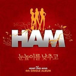 Lower Your Sight - HAM