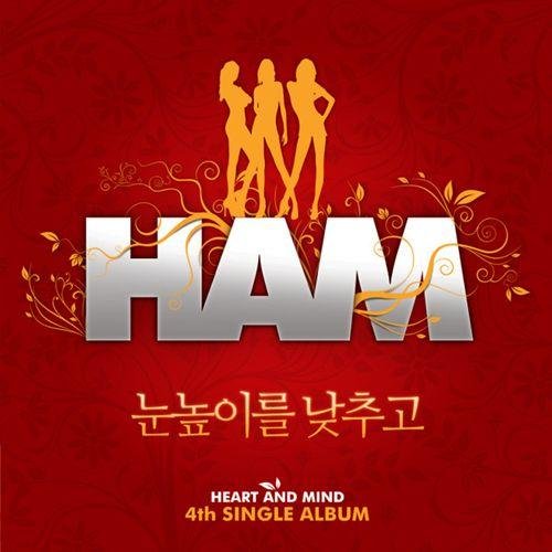 Lower Your Sight - HAM