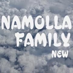Geojitmal Jom Botaemyeon (거짓말 좀 보태면) - Namolla Family N