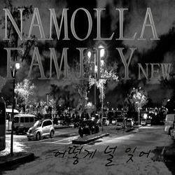 How Can I Forget - Namolla Family N