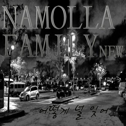 How Can I Forget - Namolla Family N