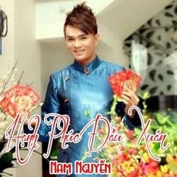 Hạnh Phúc Đầu Xuân (Single) - Nam Nguyễn
