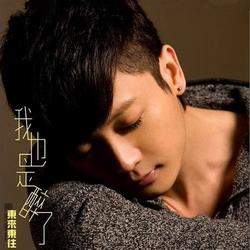 我也是醉了 / Tôi Cũng Say Rồi - Đông Lai Đông Vãng