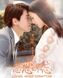 恋恋不忘 电视原声带 / Lưu Luyến Không Quên OST - Various Artists