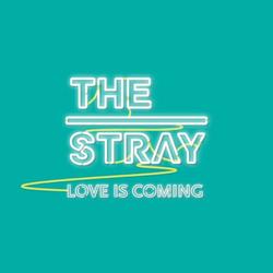 Love Is Coming - The Stray