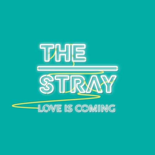 Love Is Coming - The Stray