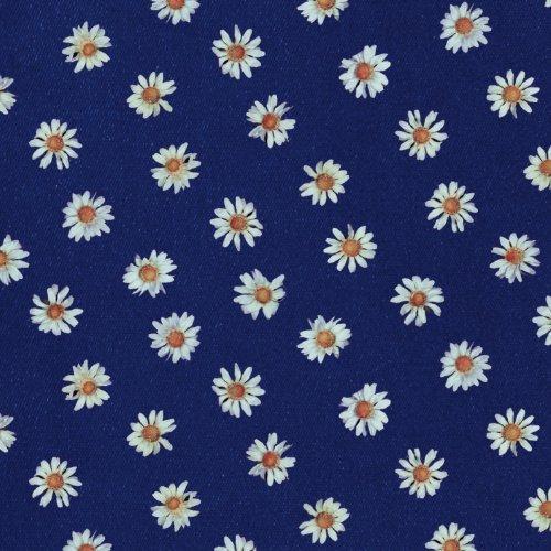 Long Goodbye  - Kinoko Teikoku