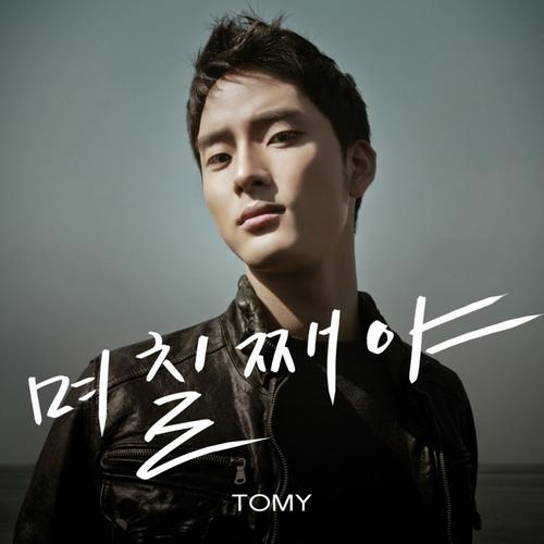 Honey Days - Tomy