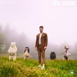 we come alive. (Side A) - ayokay