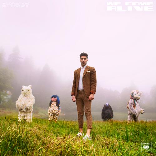 we come alive. (Side A) - ayokay