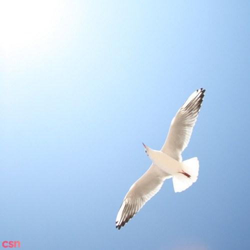 City of Sails (Single) - Marcus Warner