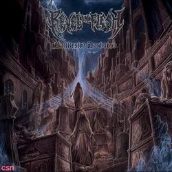 Manifested Darkness - Revel In Flesh