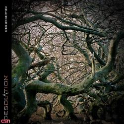 Desoriented - Desolation