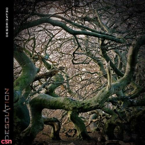 Desoriented - Desolation