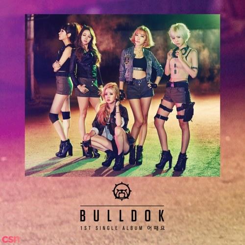 Why Not (1st Single) - BULLDOK