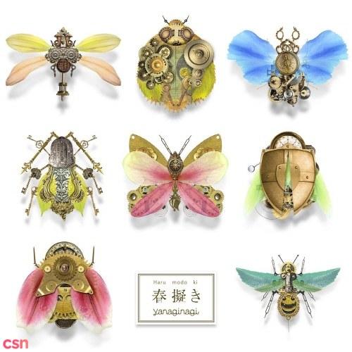 Harumodoki (Oregairu 2 Opening Theme) - Yanaginagi