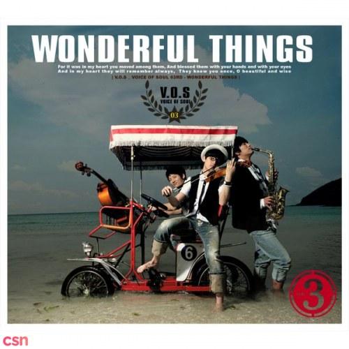 3rd Album Wonderful Things - V.O.S
