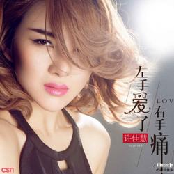 Tay Trái Yêu Tay Phải Đau (左手爱了右手痛) - Hứa Giai Tuệ